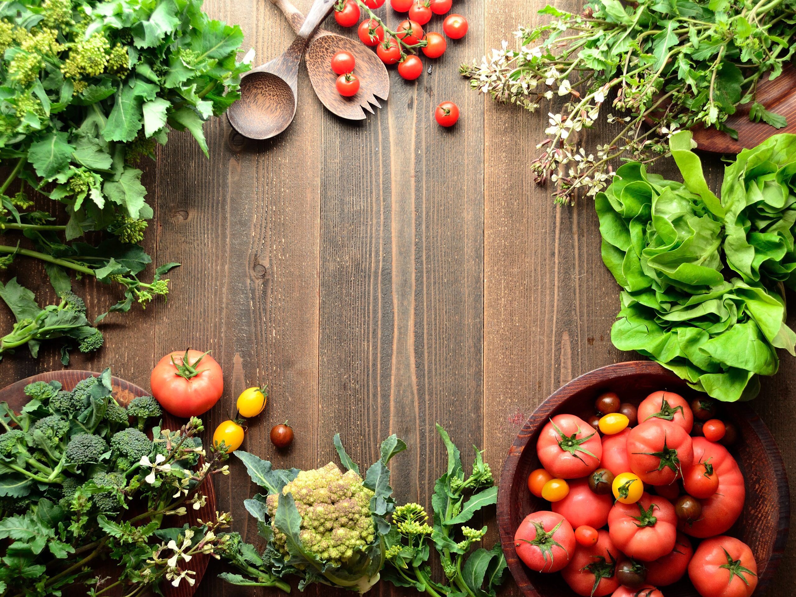 ¿Qué es la Gastronomía Ecosustentable?