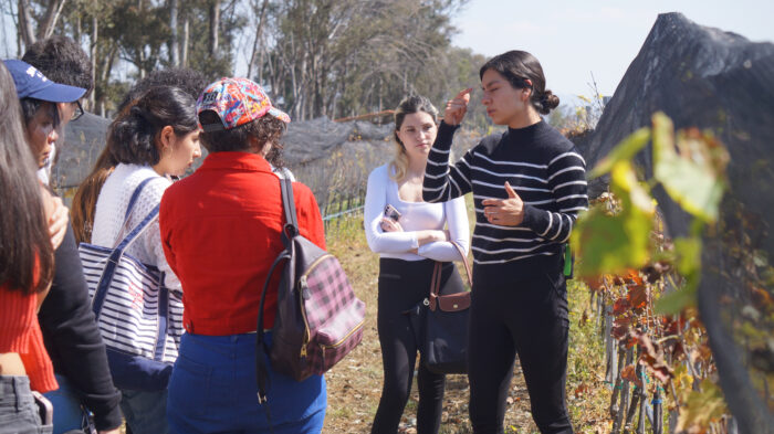 Visita Viñedo El Refugio