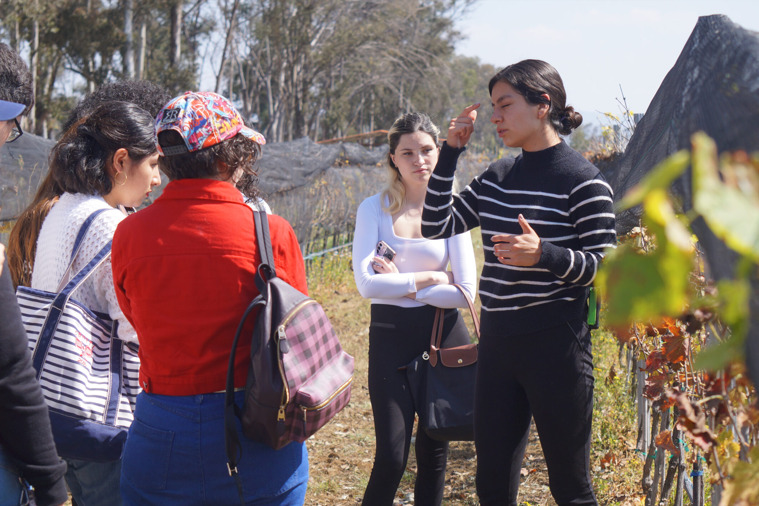 Visita Viñedo El Refugio